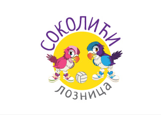 Sportsko društvo SOKOLIĆI